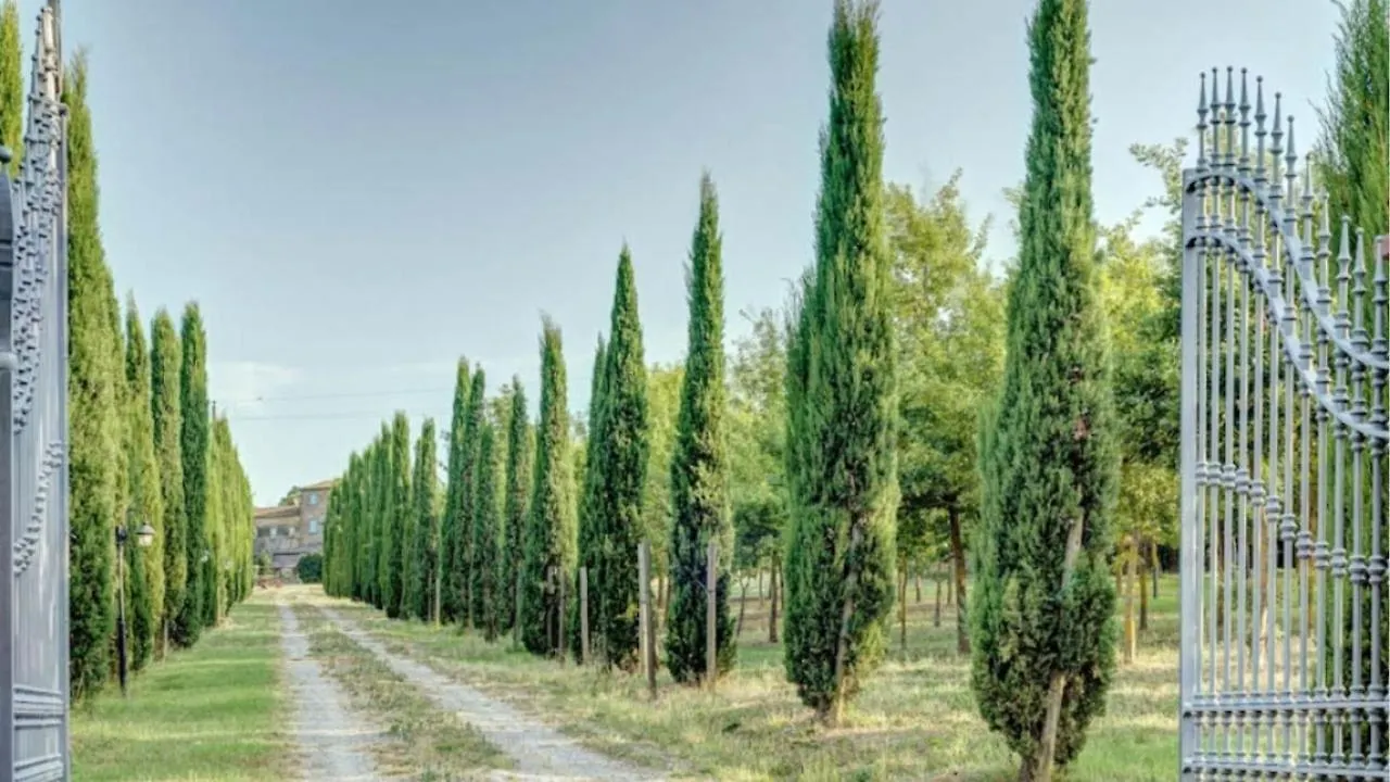 Fattoria Gli Ziri Villa Cortona